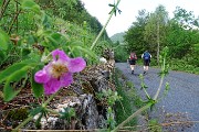 10 Partenza dai Piani di Ceresola (Rif. Trifoglio, 1350 m)